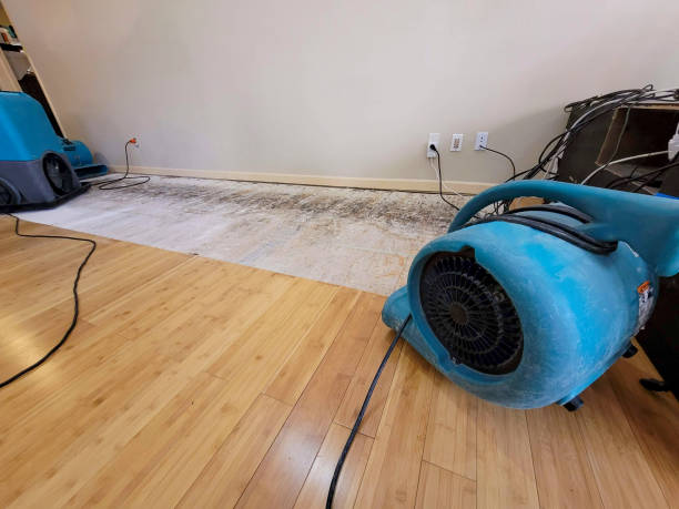 Professional Flood Damage Cleanup technician working in Tulia, TX